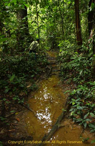 flooded trail