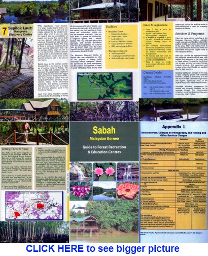 Download info of Sepilok Laut Mangrove Discovery Center