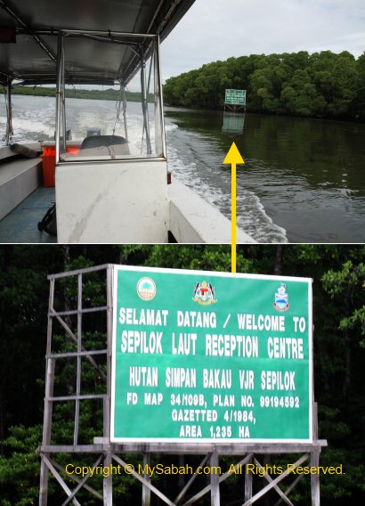 leaving Sepilok reserved mangrove area