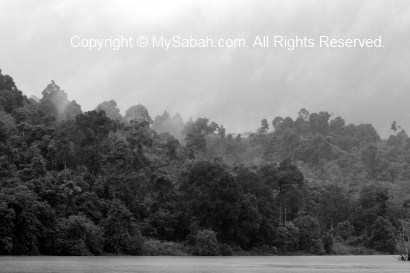 Kinabatangan River