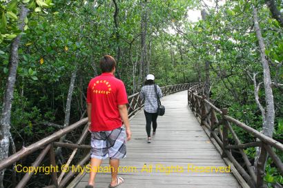 wooden boardwalk to Borneo Semporna Proboscis River Cruise