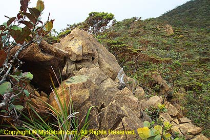 Ultramafic boulders