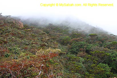 Mist approaching