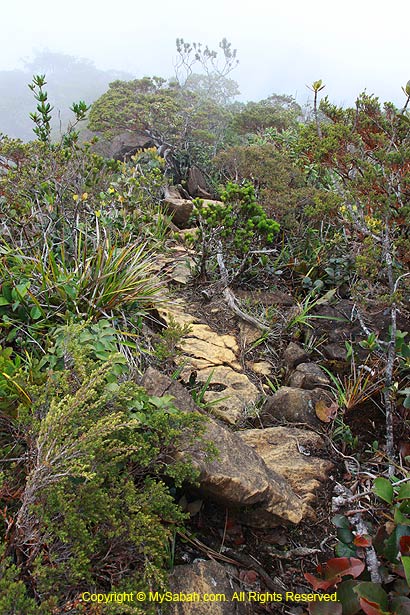 Rocky trail