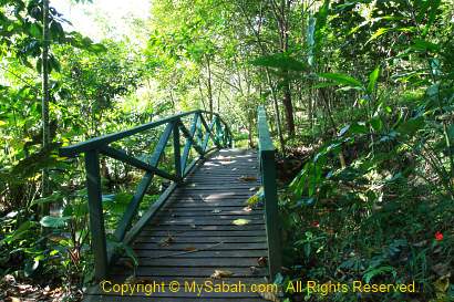 trail in Insectarium