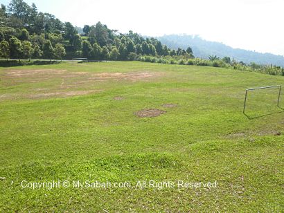 soccer field