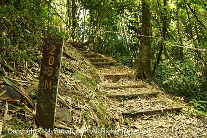 jungle trekking in Crocker Range Park