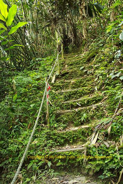 trail of Crocker Range Park