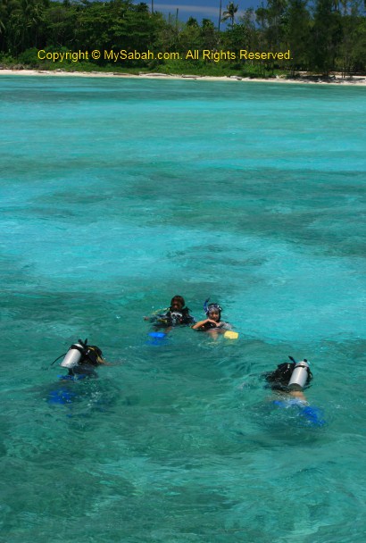 Discovery Scuba Diving