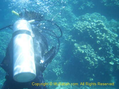 Underwater Diving