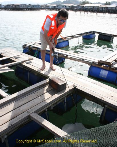 Fishing in fish farm