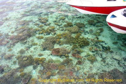 Pulau Mabul