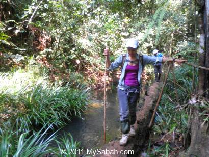 Crossing river on a log