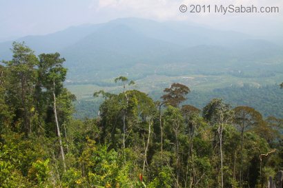 view from Center of Sabah