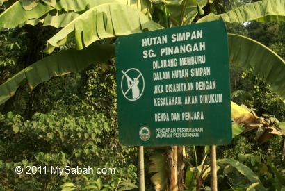 Pinangah forest reserve