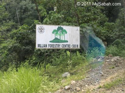 Millian Forestry Center