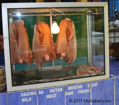 wild boar meat for sale