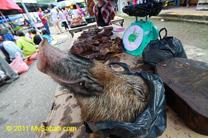 wild boar head