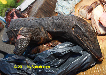 monitor lizard meat