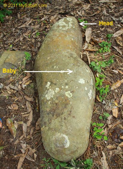 pregnant stone in Tambunan