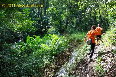 jungle trekking to Wasai Kiukad Waterfall