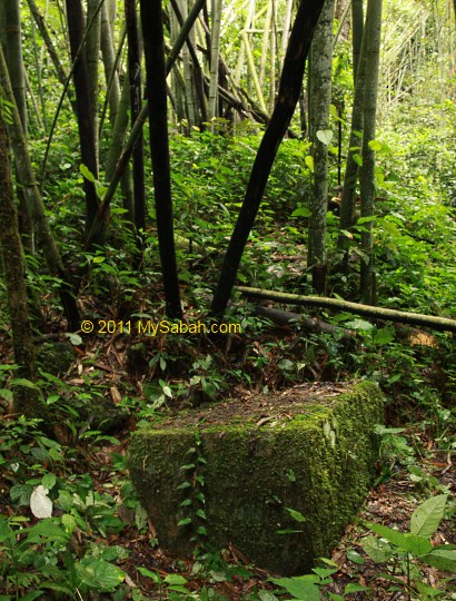 table stone next to Wasai Kiukad Waterfall