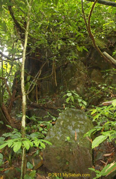 longhouse rock