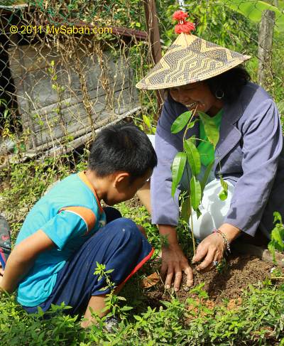son and mother planting tree