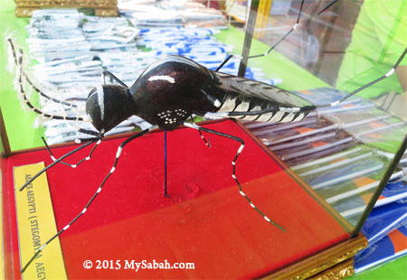 model of Aedes aegypti mosquito