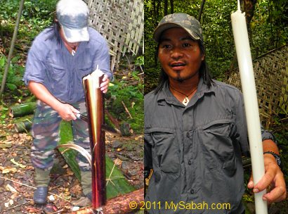 cutting banana trunk