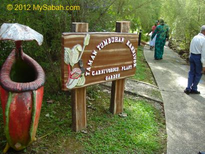 Nepenthes Garden of Tenom Agriculture Park