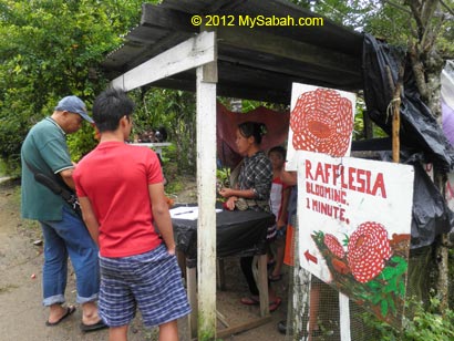 Hamilin Rafflesia Garden
