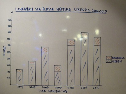 nesting statistics