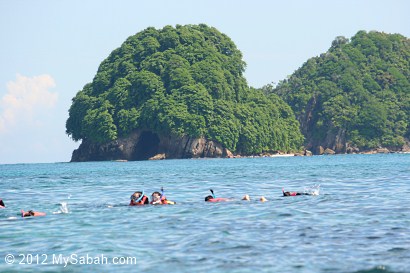 snorkeling at Pulau Mantanani