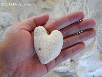 heart-shape coral