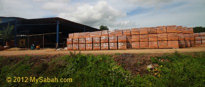 brick factory in Kawang