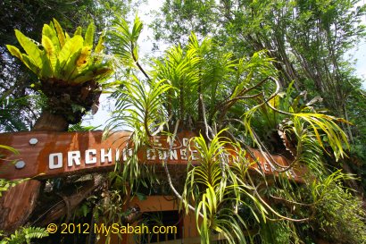 Orchid Conservation Centre