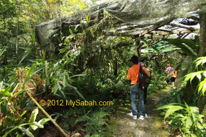 Native Orchid Garden of Sabah Agriculture Park