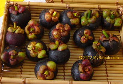 mangosteen