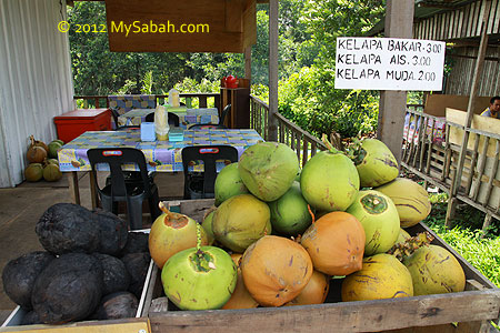 coconut for sale