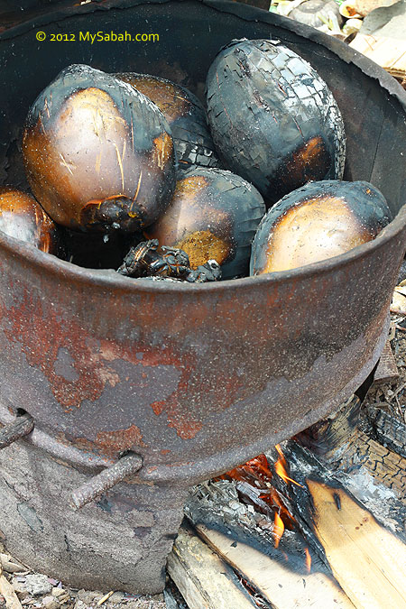 grilled coconut