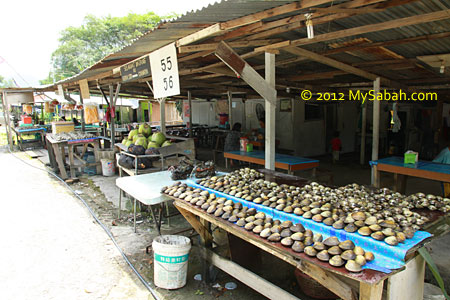 gerai lokan dan kelapa bakar