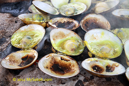 BBQ clam close-up