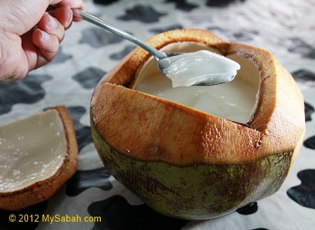 Coconut Pudding