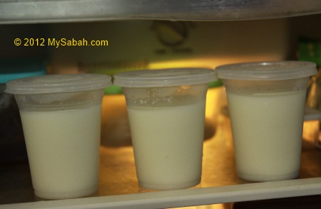 Coconut Pudding close-up