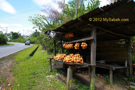 roadside stall selling Tampoi / Tampui