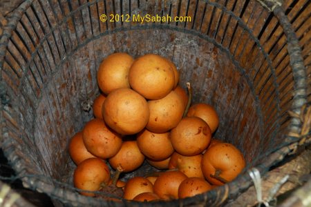 Tampoi in Waki basket