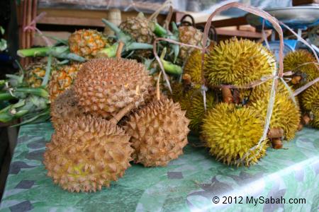 wild durian