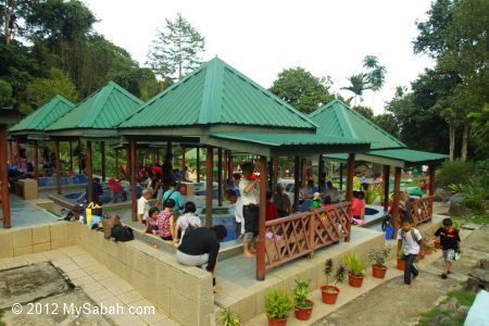 Poring Hot Springs open area