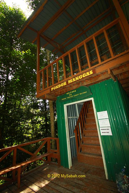 first tower of Canopy Walkway